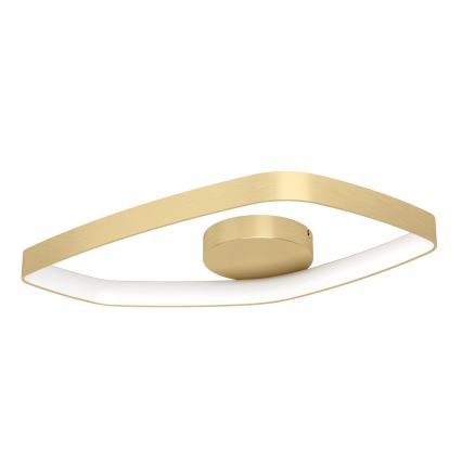 Eglo - Світлодіодний стельовий світильник з регулюванням яскравості LED/25,2W/230V