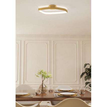 Eglo - Світлодіодний стельовий світильник з регулюванням яскравості LED/25,2W/230V