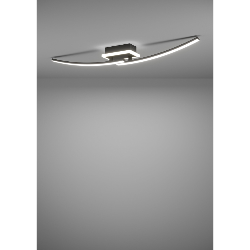 Eglo - Стельовий LED світильник LED/12W/230V 4000K чорний