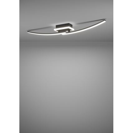 Eglo - Стельовий LED світильник LED/12W/230V 4000K чорний