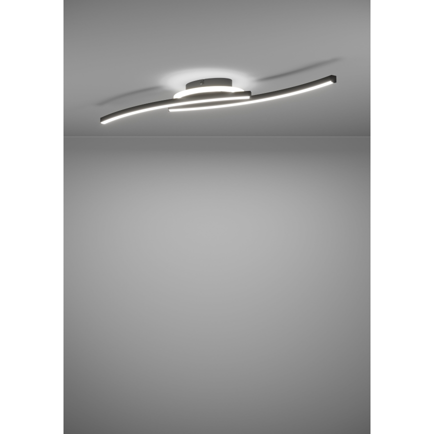 Eglo - Стельовий LED світильник LED/12W/230V 4000K чорний