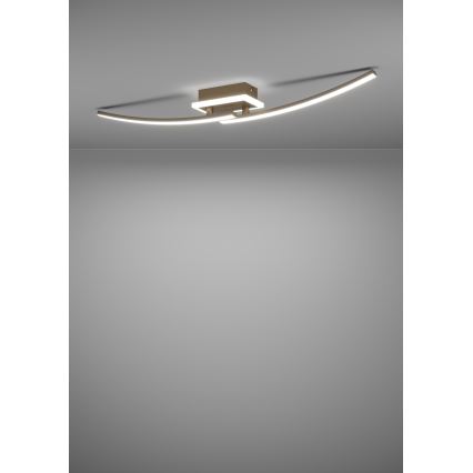 Eglo - Стельовий LED світильник LED/12W/230V 4000K мідний