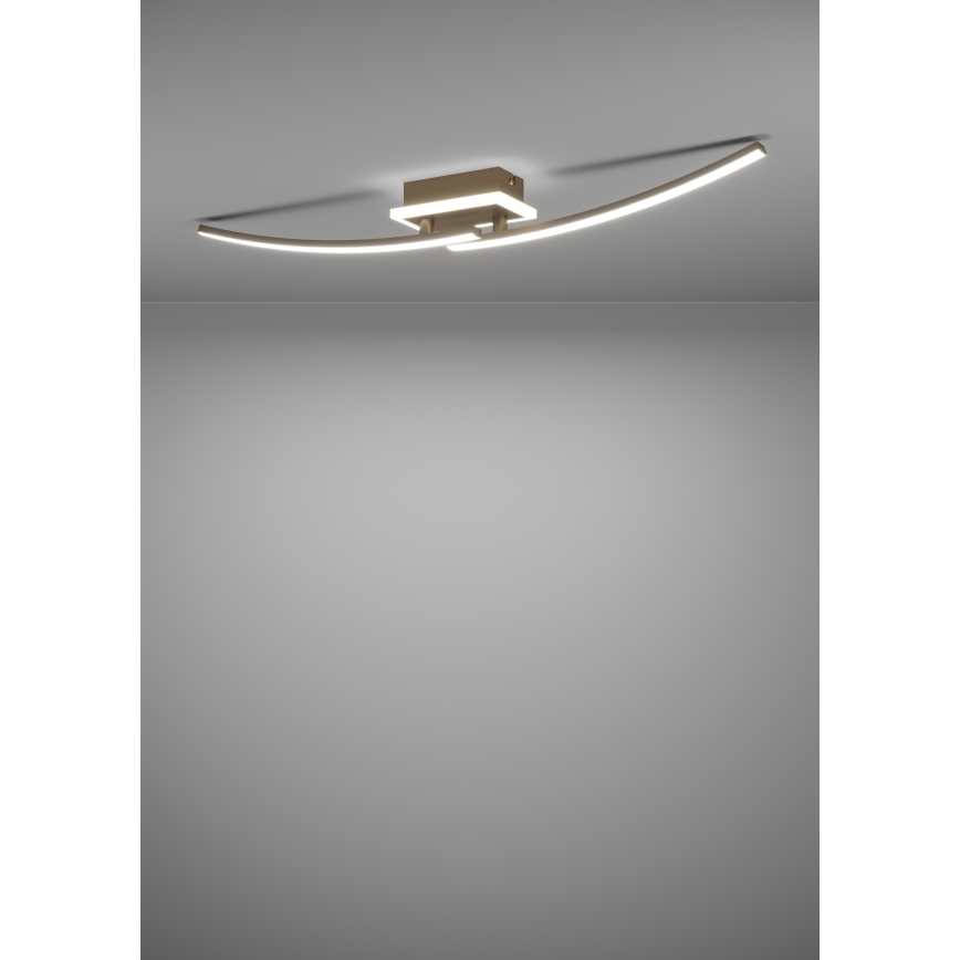 Eglo - Стельовий LED світильник LED/12W/230V 4000K мідний