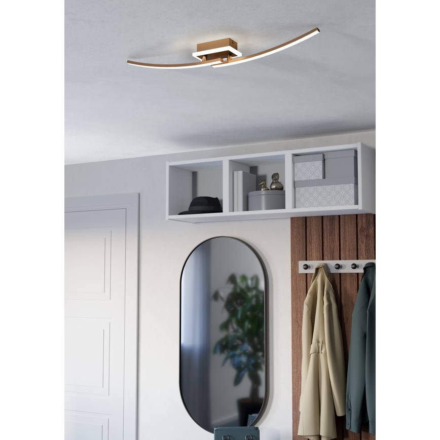 Eglo - Стельовий LED світильник LED/12W/230V 4000K мідний