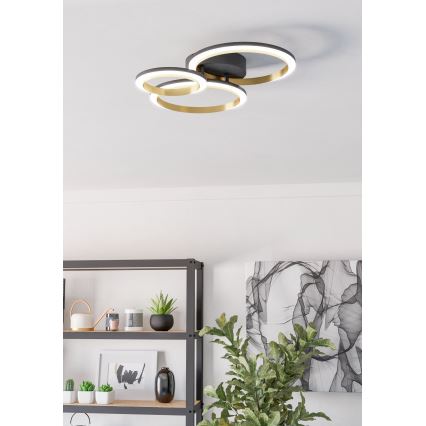 Eglo - Світлодіодний стельовий світильник з регулюванням яскравості LED/20W/230V 4000K чорний/золотий