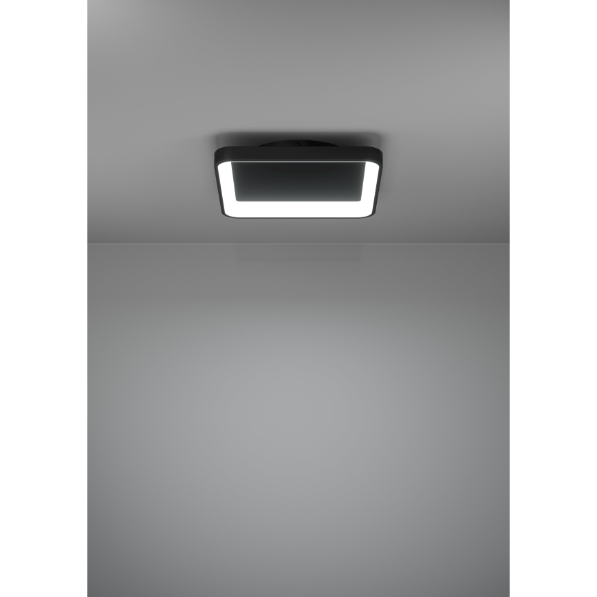 Eglo - Світлодіодний стельовий світильник з регулюванням яскравості LED/12W/230V 2700-6500K чорний + пульт дистанційного керування
