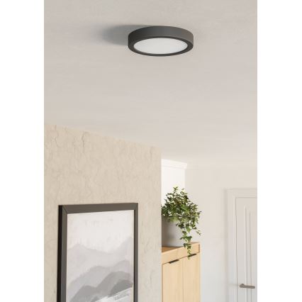 Eglo - LED стельовий світильник LED/7,5 Вт/230 В 2700/4000/6500 К діам. 16,6 см чорний