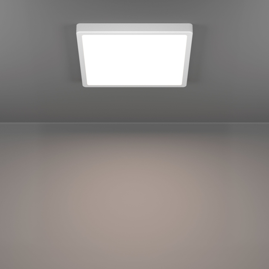 Eglo - LED потолочный светильник LED/13 Вт/230 В 2700/4000/6500 К 29x29 см белый
