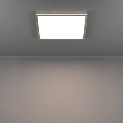 Eglo - Светодиодный потолочный светильник LED/13W/230V 2700/4000/6500К 29x29 см матовый хром