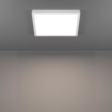 Eglo - Диммируемый LED RGBW потолочный светильник для ванной комнаты LED/13,5W/230V 2700-6500K 29,5x29,5 cm IP44 белый