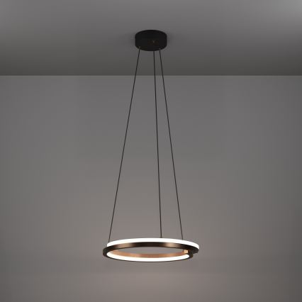 Eglo - диммируемая LED-люстра на тросе, 2×LED/20 Вт/230 В, 2700–6500 К, диаметр 48 см, бронзовая + пульт дистанционного управления