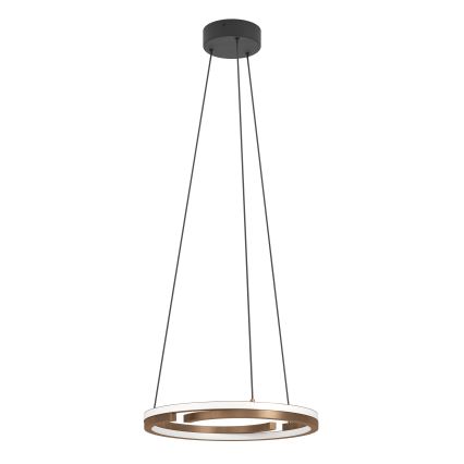 Eglo - LED-люстра з регулюванням яскравості на тросі 2xLED/20W/230V 2700-6500K діам. 48 см бронзова + пульт дистанційного керування