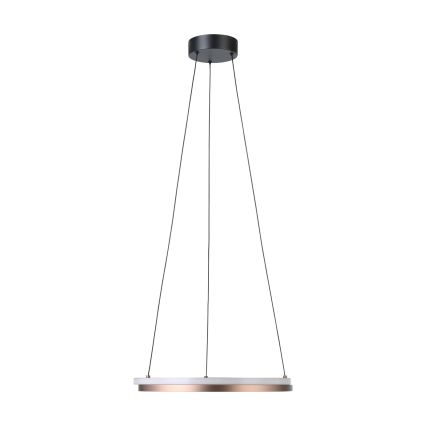 Eglo - LED-люстра з регулюванням яскравості на тросі 2xLED/20W/230V 2700-6500K діам. 48 см бронзова + пульт дистанційного керування