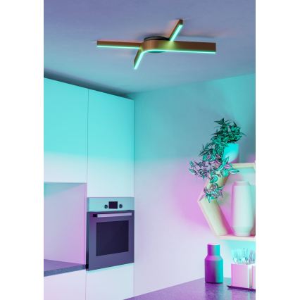 Eglo - LED RGBW стельовий світильник зі змінною яскравістю 2xLED/18W/230V 2700-6500K мідний/чорний