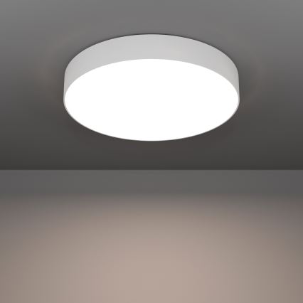 Eglo - LED RGBW Диммируемый потолочный светильник, 26 Вт/230 В, 2700–6500 К, Ø 49 см, белый