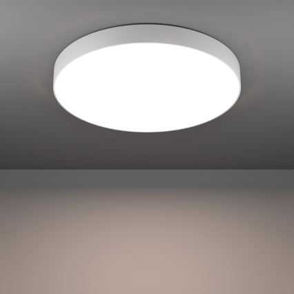 Eglo - LED RGBW диммируемый потолочный светильник LED/36,5W/230V 2700-6500K диам. 69 см белый