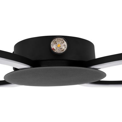 Eglo - LED-настінний світильник LED/20W/230V + LED/0,91W чорний