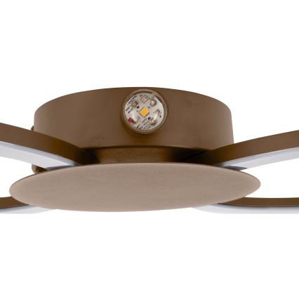 Eglo - LED настінний світильник LED/20W/230V + LED/0,91W бежевий