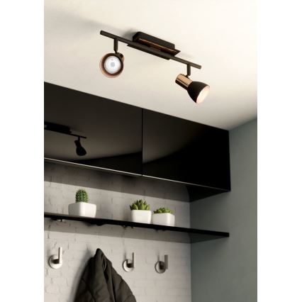 Eglo 94585 - Точковий LED світильник BARNHAM 2xGU10/3,3W/230V