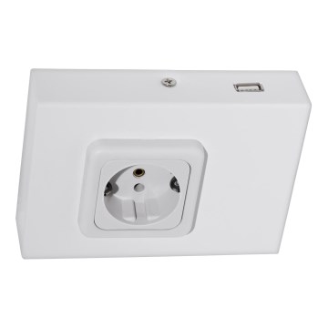 Eglo 94665 - Розетка для кухонної стільниці SCHUKO вкл. USB TAXANO