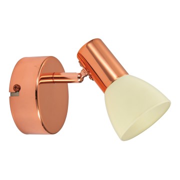 Eglo 94736 - Точечный светильник GLOSSY 2 LED/5 Вт/230 В