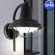 Eglo 94862 - Уличный светодиодный светильник COLINDRES 1 1xE27/8,5W/230V IP44