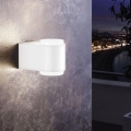 Eglo 95077 - Вуличний настінний світильник BRIONES 2xLED/3W/230V IP44