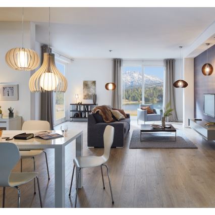 Eglo - Потолочный светильник 1xE27/60W/230V