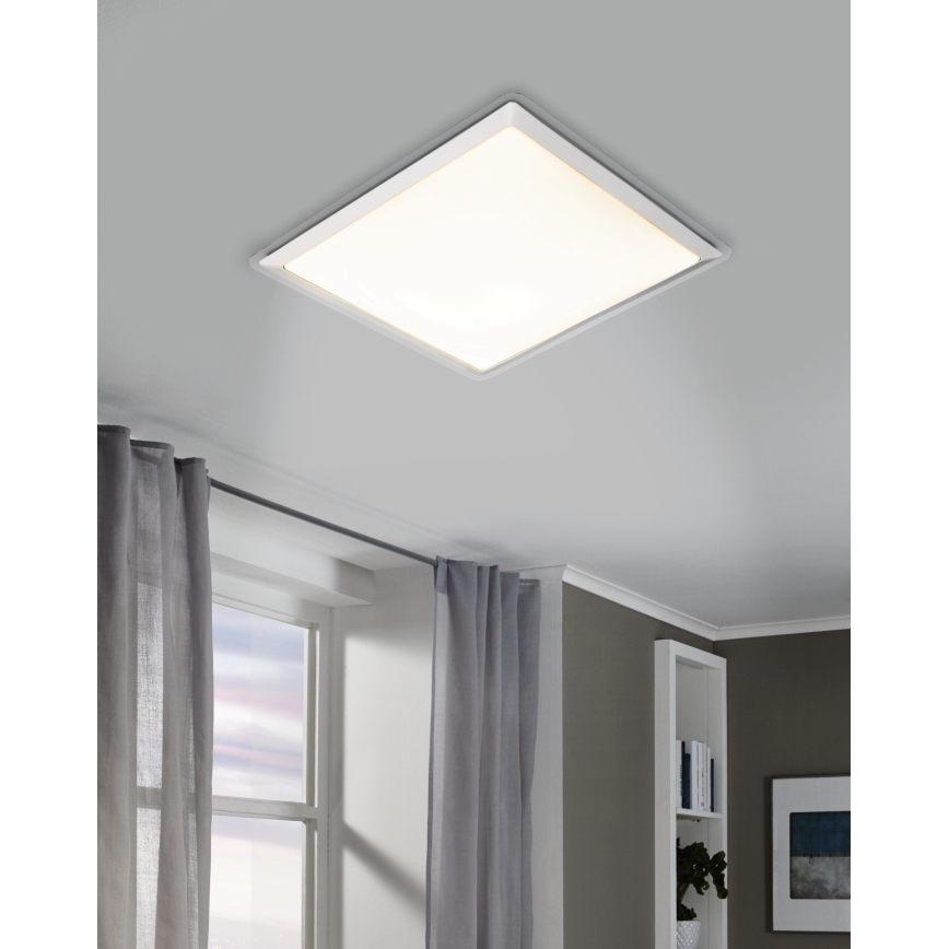 Eglo - Світлодіодний стельовий світильник LED/24W/230V