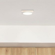 Eglo 95921- Світлодіодний світильник для ванної кімнати PINEDA 1 1xLED/6W/230V IP44