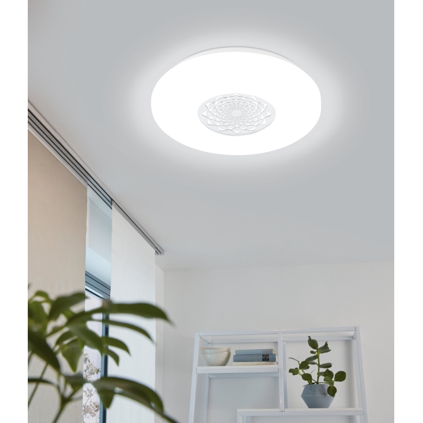 Eglo - Світлодіодний стельовий світильник LED/24W/230V