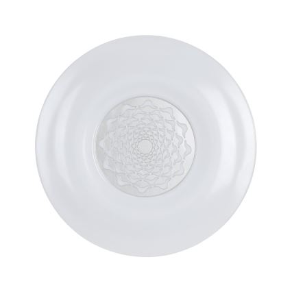 Eglo - Світлодіодний стельовий світильник LED/24W/230V