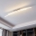 Eglo 96092 - світлодіодний стельовий світильник PERTINI 2xLED/10,8W/230V