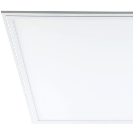 Eglo - Світлодіодна стельова панель LED/40W/230V