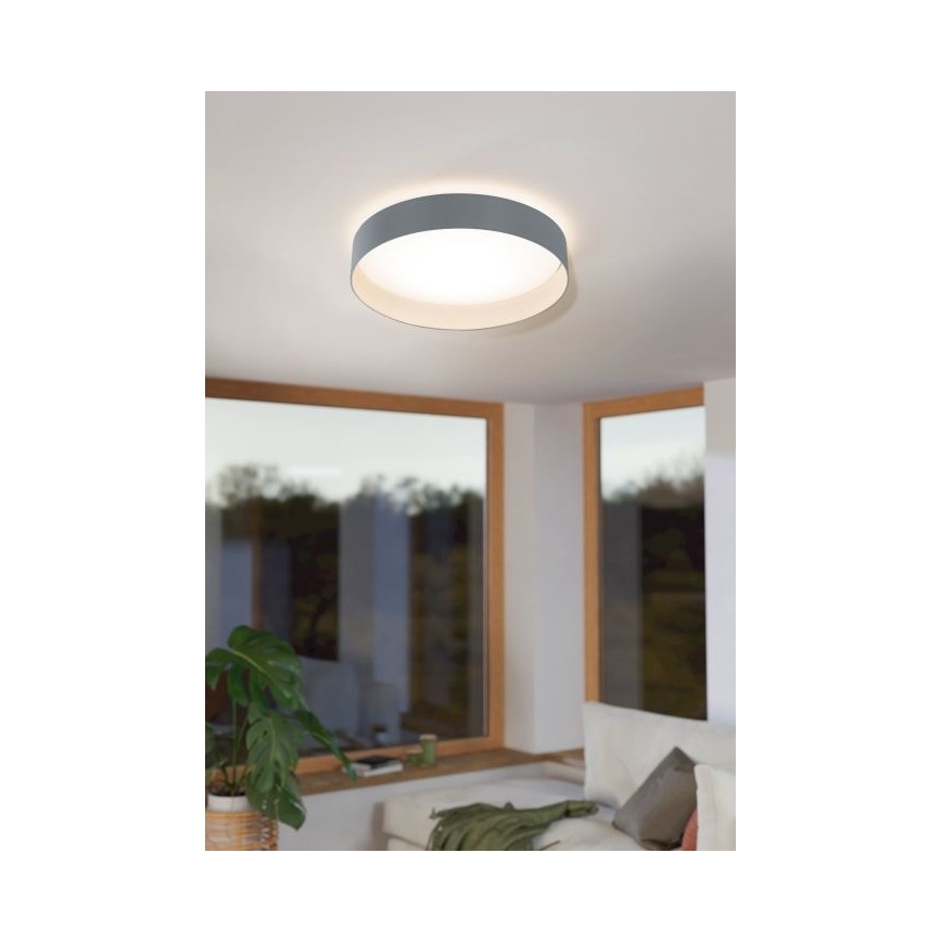 Eglo - Світлодіодний стельовий світильник з регулюванням яскравості 1xLED/18W/230V