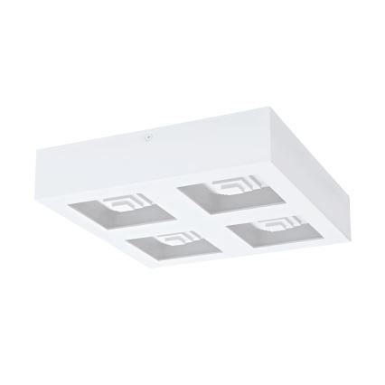 Eglo - Світлодіодний стельовий світильник 4xLED/6,3W/230V