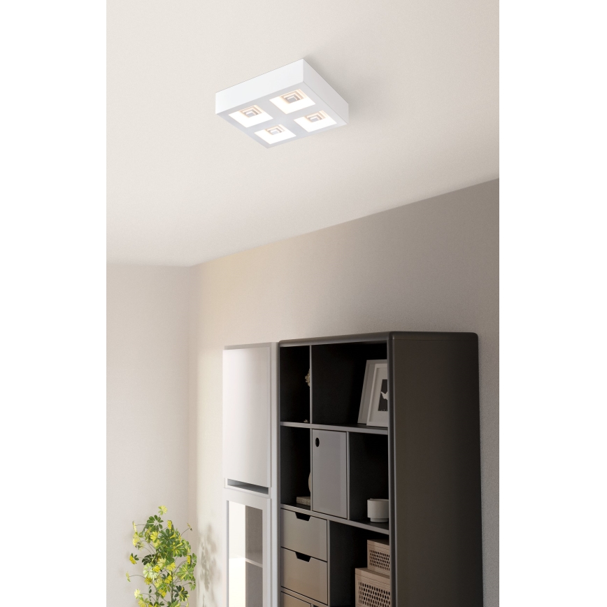 Eglo - Світлодіодний стельовий світильник 4xLED/6,3W/230V