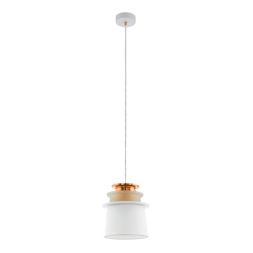 Eglo 96873 - Подвесной светильник SCAZON 1xE27/60W/230W