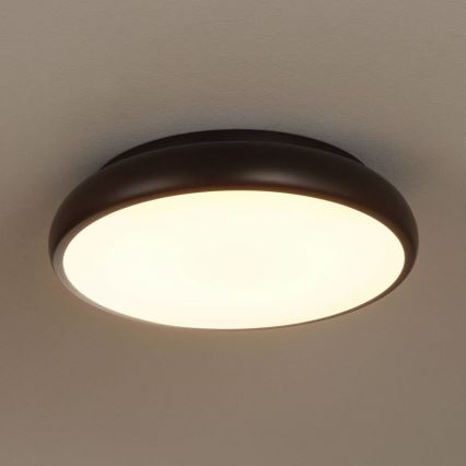 Eglo 96996 - Светодиодный потолочный RGB-светильник RIODEVA-C 1xLED/27W/230V