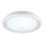 Eglo 97039 - Светодиодный потолочный светильник GUSAMA 1xLED/18W/230V