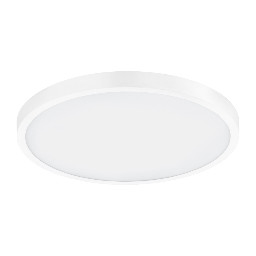 Eglo - Светодиодный потолочный светильник 1xLED/25W/230V белый круглый 2500 лм