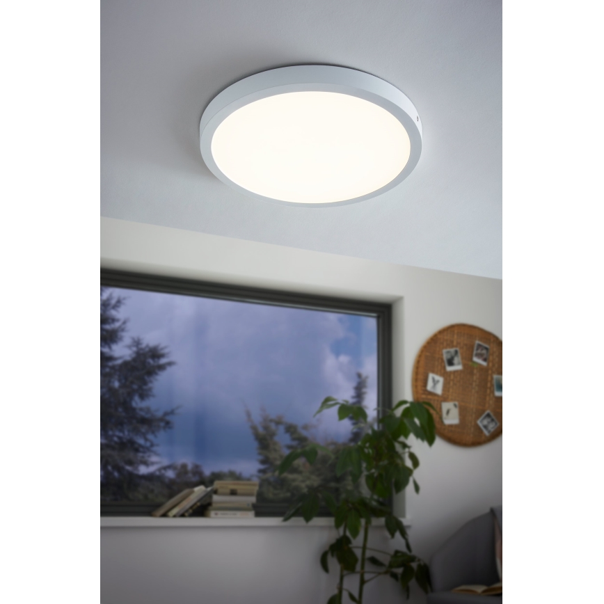 Eglo - Светодиодный потолочный светильник 1xLED/25W/230V белый круглый 2500 лм