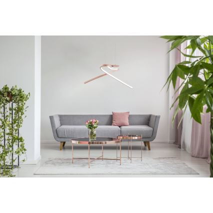 Eglo 97362 - Світлодіодна підвісна люстра PALOZZA 2xLED/11W/230V