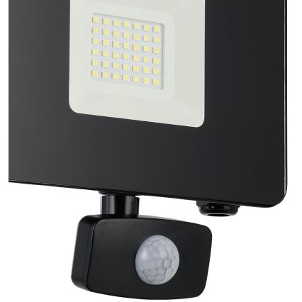 Eglo - Світлодіодний прожектор з датчиком LED/30W/230V IP44