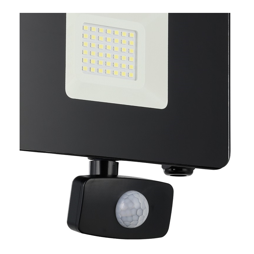Eglo - Світлодіодний прожектор з датчиком LED/30W/230V IP44