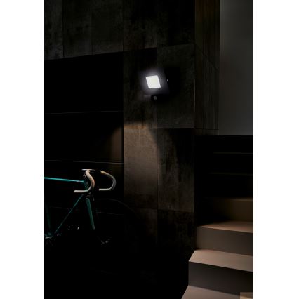 Eglo - Светодиодный прожектор с датчиком LED/50W/230V IP44