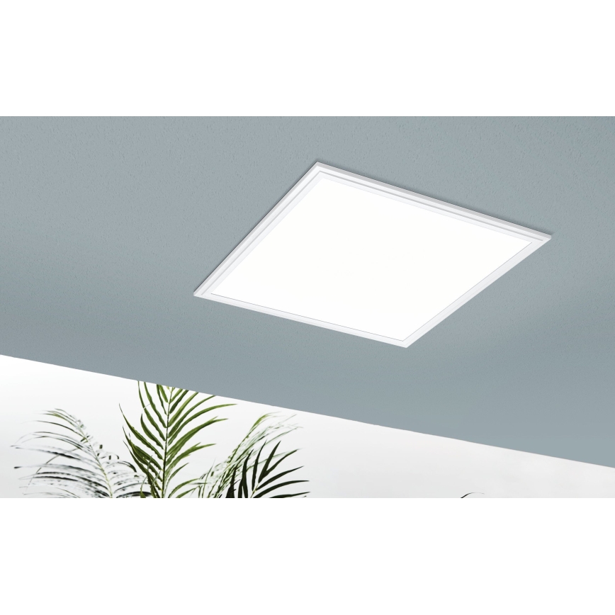 Eglo - Светодиодный RGB-светильник с регулированием яркости SALOBRENA-C 1xLED/24W/230V + дистанционное управление