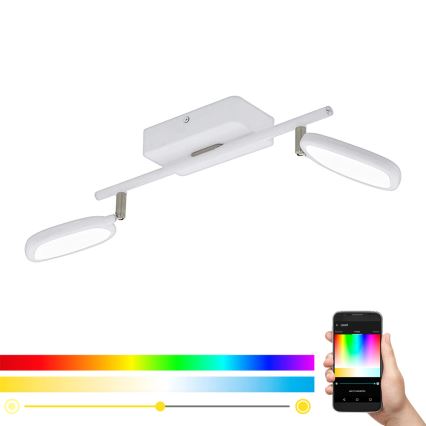 Eglo 97692 - Світильник точковий LED RGB PALOMBARE-C 2xLED/5W/230V