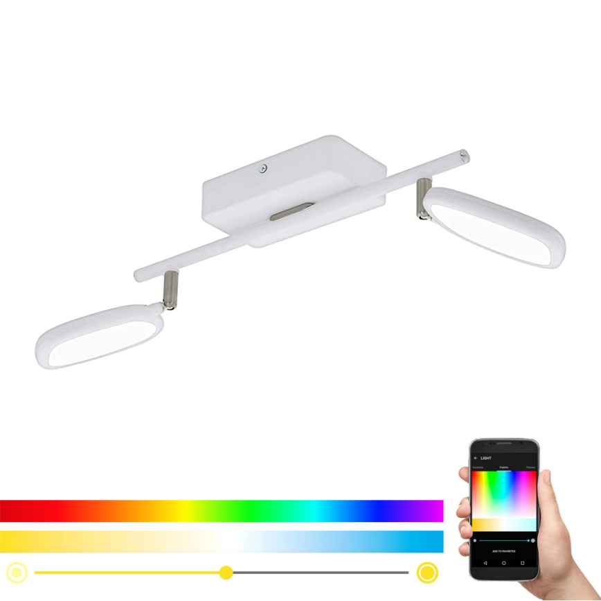 Eglo 97692 - Світильник точковий LED RGB PALOMBARE-C 2xLED/5W/230V