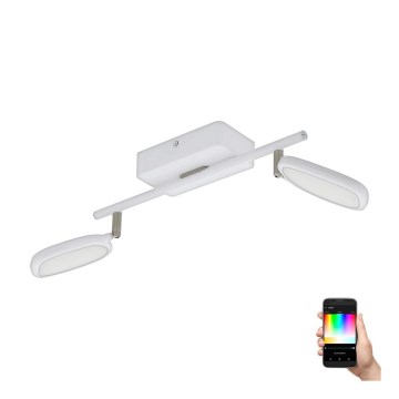 Eglo 97692 - Светильник точечный LED RGB PALOMBARE-C 2xLED/5W/230V